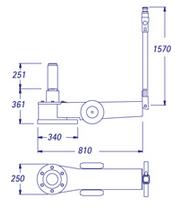 Gato P301 diseo